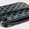 Borsa a tracolla piccola in Triomphe Canvas a righe e pelle di vitello