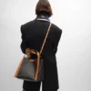 Borsa Small Cube in Triomphe Canvas e pelle di vitello naturale Borsa Small Cube in Triomphe Canvas e pelle di vitello naturale